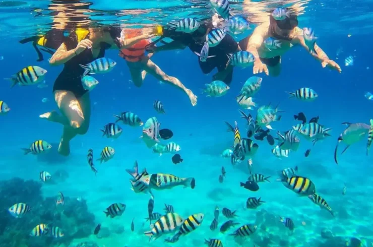 Nha Trang Island Snorkeling and Fishing Tour