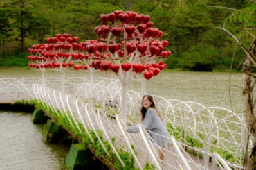 Vé Thung Lũng Tình Yêu Đà Lạt – TTC World