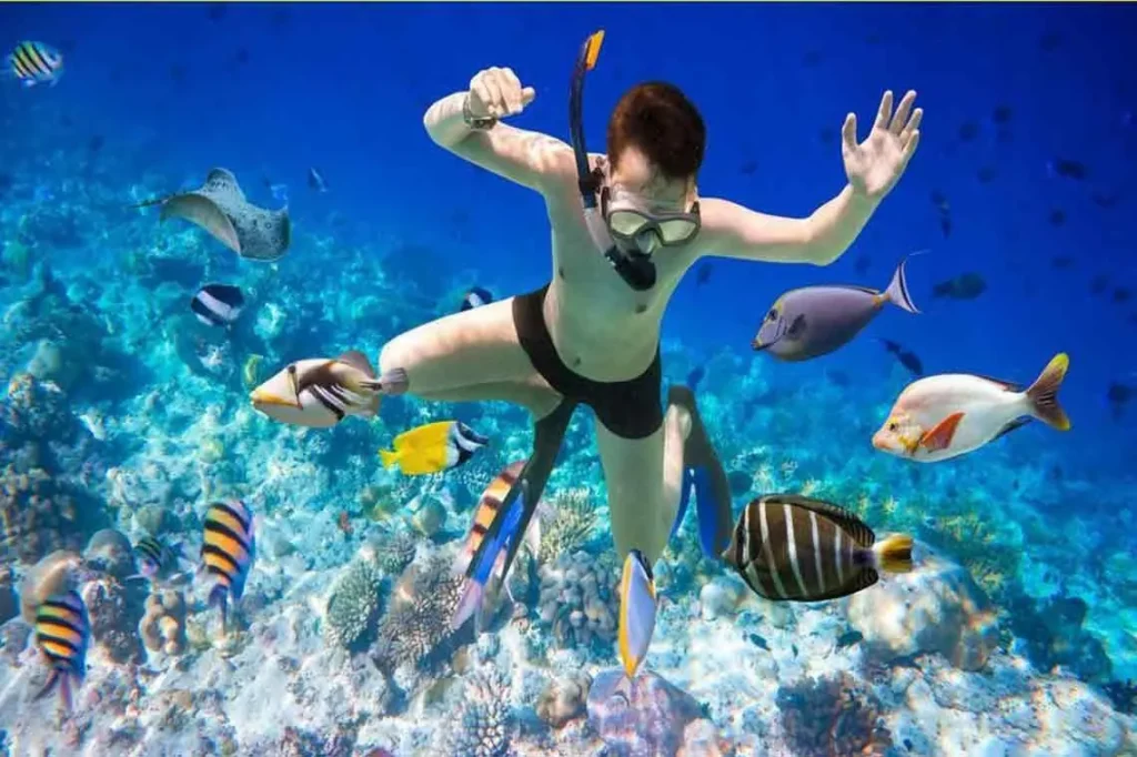 Coral Reef Snorkeling and Floating Bar Party Tour