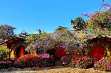 Vé Đà Lạt Fairytale Land & Hầm rượu vang Vĩnh Tiến