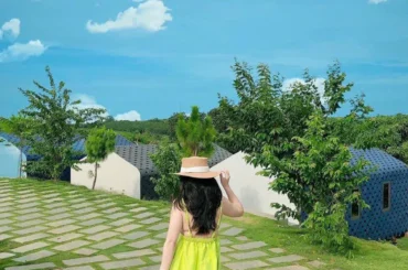 Let's Fly Travel