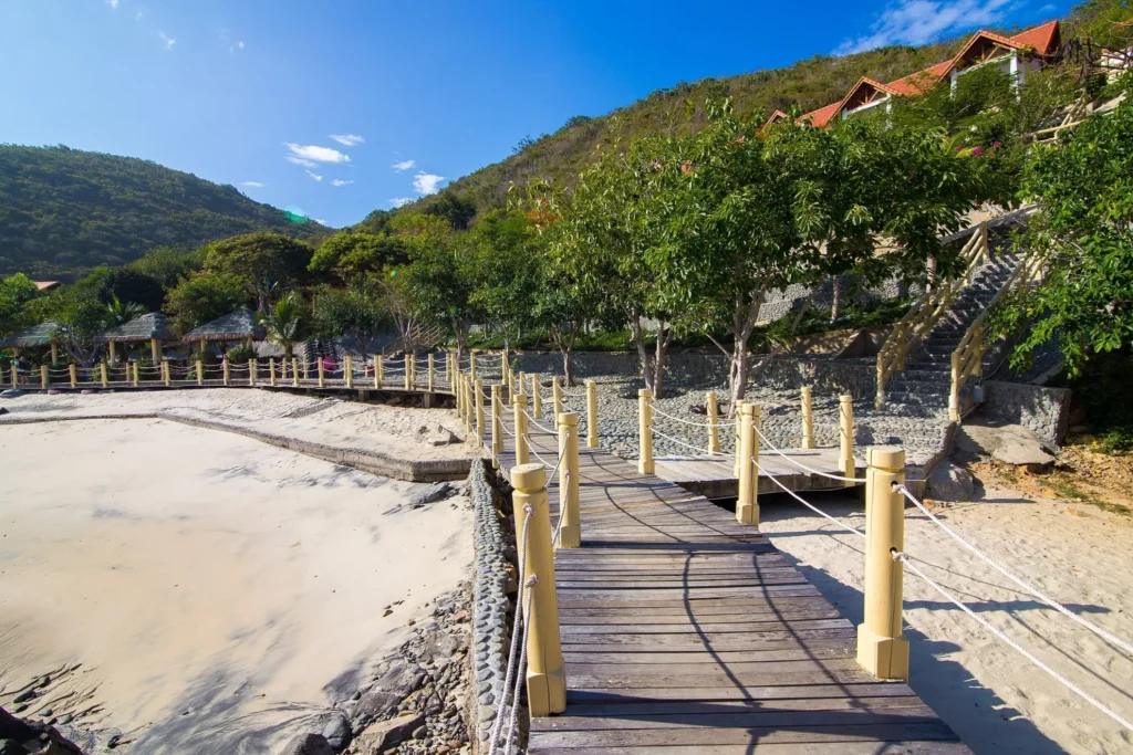 snorkeling, cocktails, music band and cruise nha trang tour