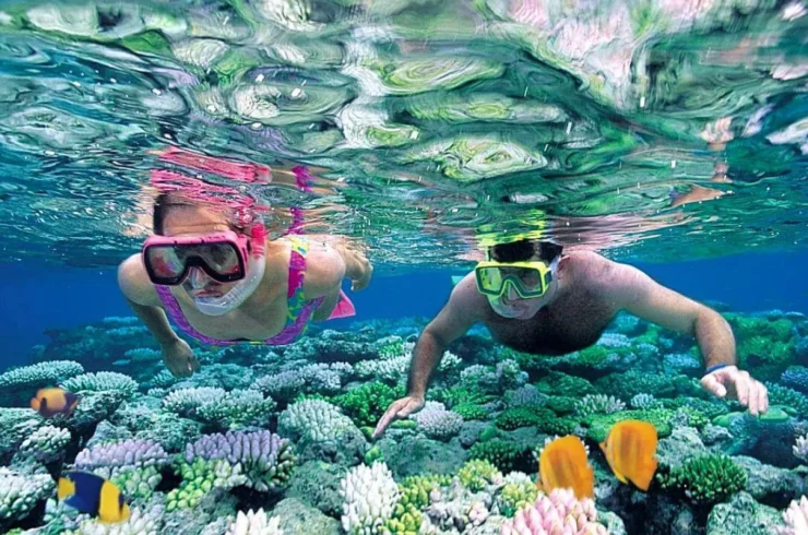 Nha Trang Bay Half-Day Snorkeling Adventure Tour