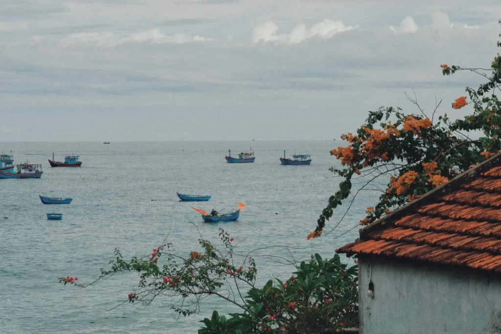 Tour Cù Lao Mái Nhà – Khám phá Đảo hoang Robinson
