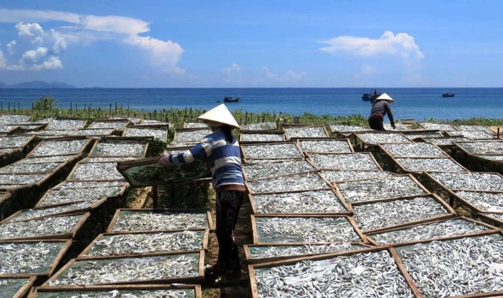 Tour làng nghề Phú Yên 1 ngày