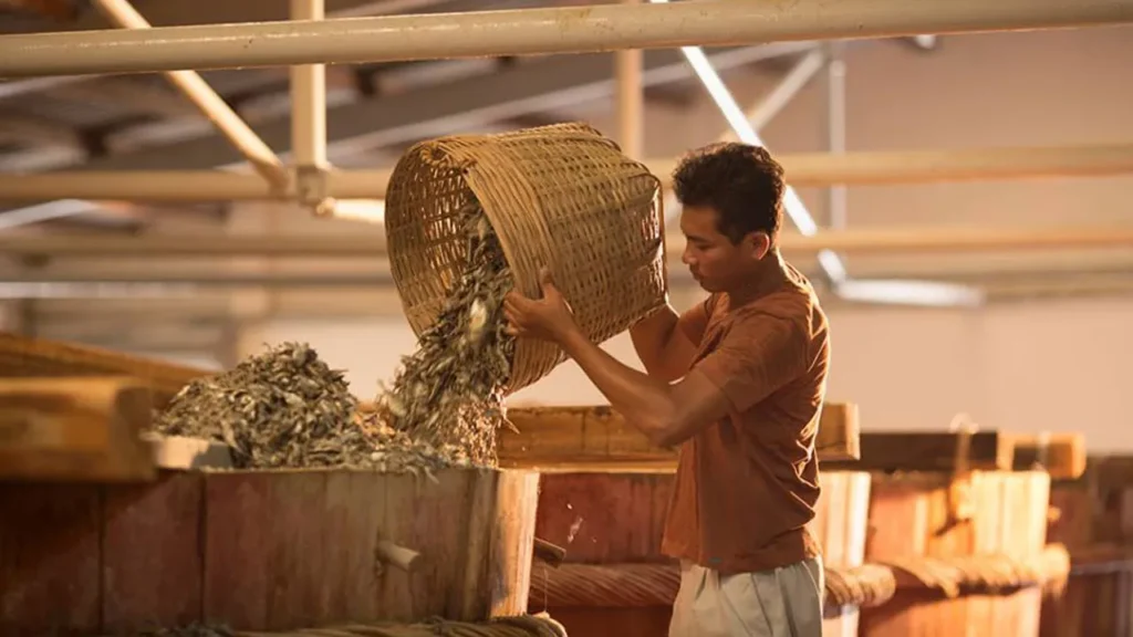 Tour làng nghề Phú Yên 1 ngày