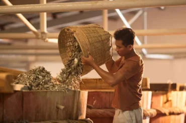 tour làng nghề phú yên