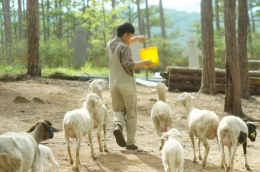 Một ngày tại ZooDoo Đà Lạt đầy trải nghiệm thư giãn