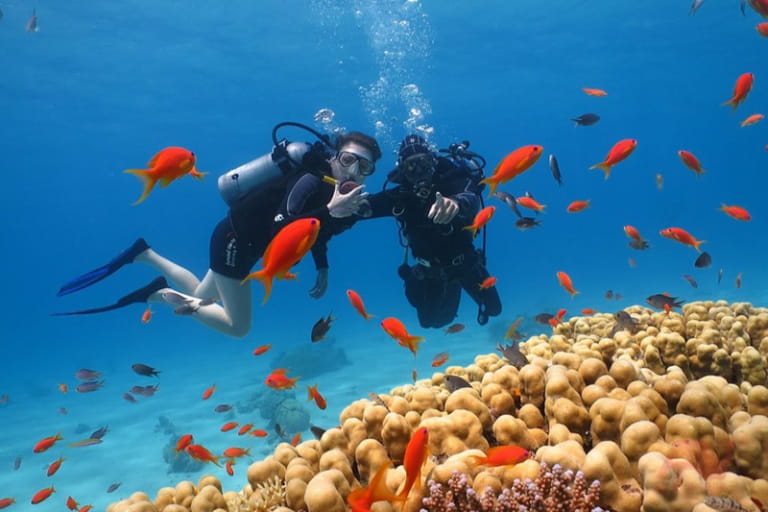 Trang thiết bị và tiêu chuẩn an toàn trong tour săn cá Bình Hưng