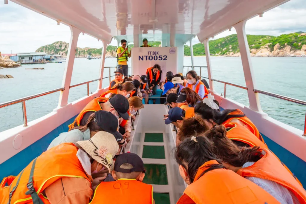 Tour vịnh Vĩnh Hy Ninh Thuận