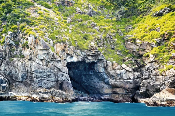 Tour vip Robison – Hòn Tằm Resort