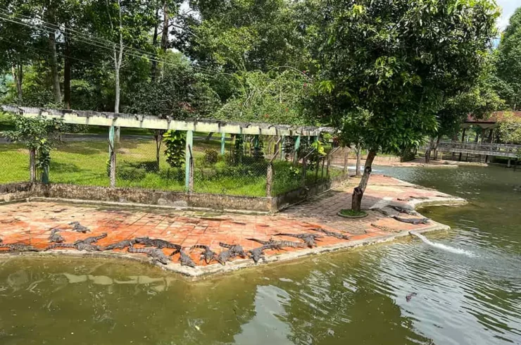 Waterfalls and Natural Hot Springs at Yang Bay Tour