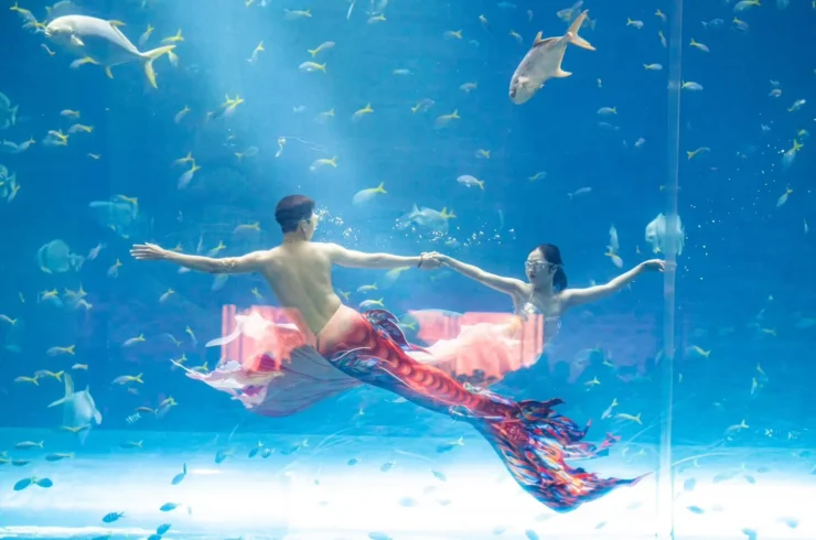 Vé Vinwonders Phú Quốc