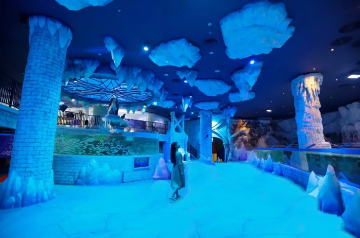 Vé Vinwonders Phú Quốc