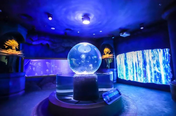 Vé Vinwonders Phú Quốc