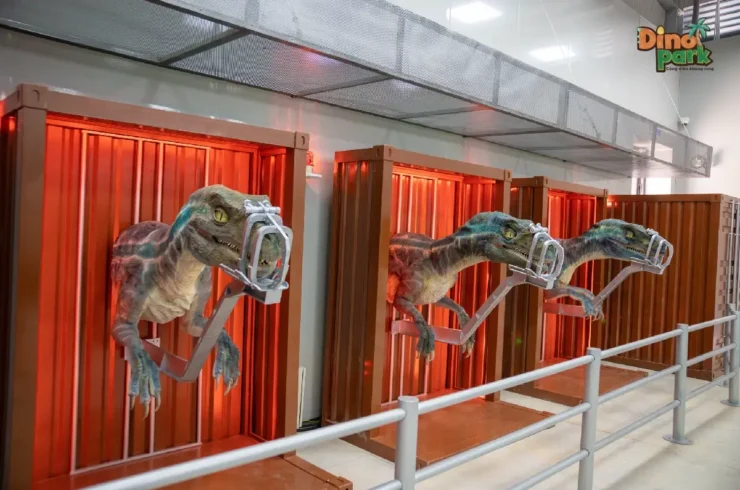 Vé Novadreams Phan Thiết