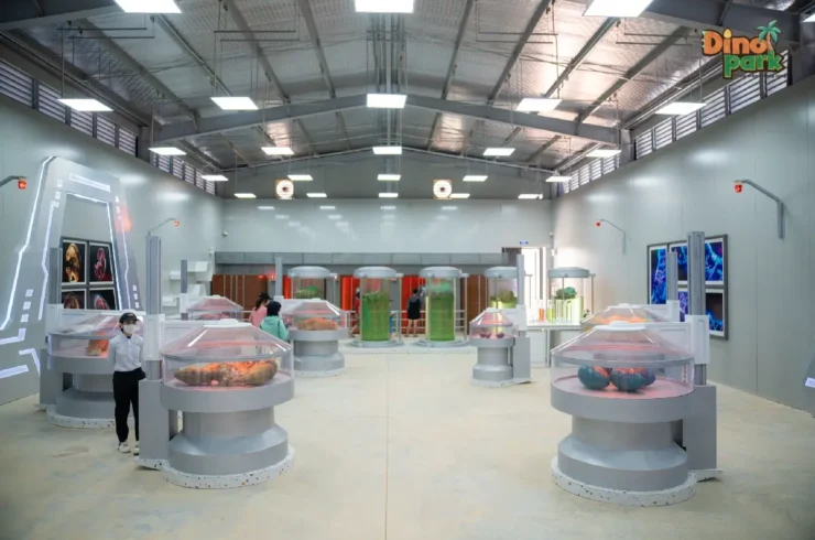 Vé Novadreams Phan Thiết