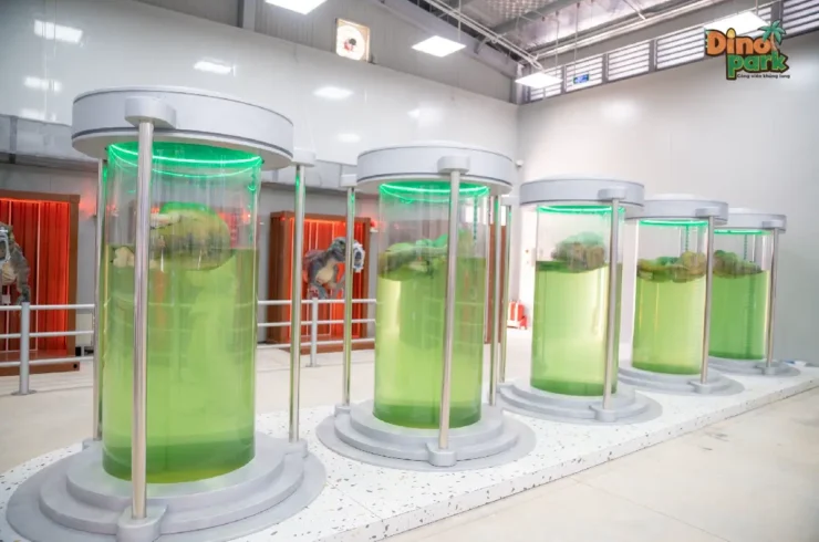 Vé Novadreams Phan Thiết