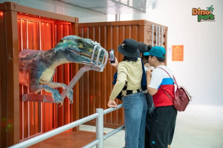 Vé Novadreams Phan Thiết