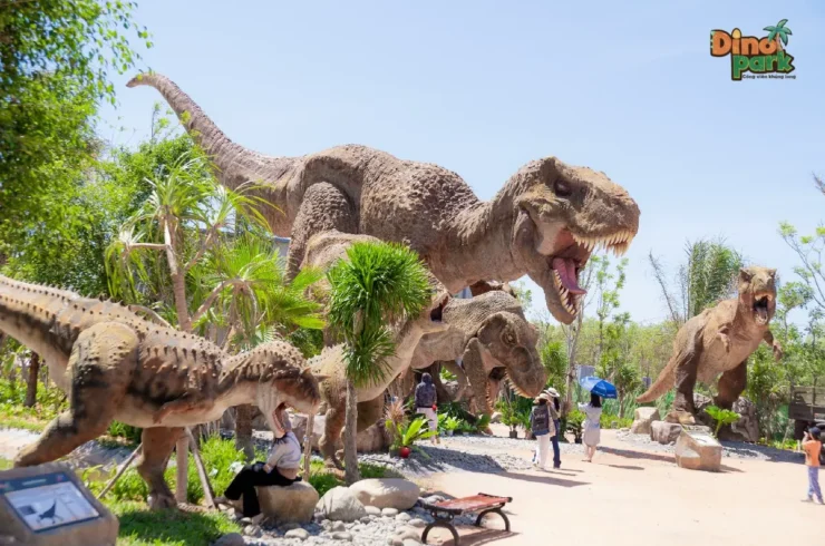 Vé Novadreams Phan Thiết