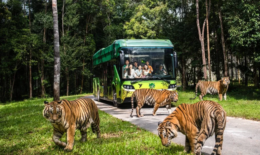 Vé Vinpearl Safari Phú Quốc