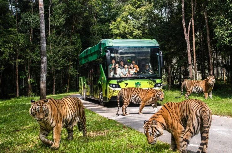 Vé Vinpearl Safari Phú Quốc