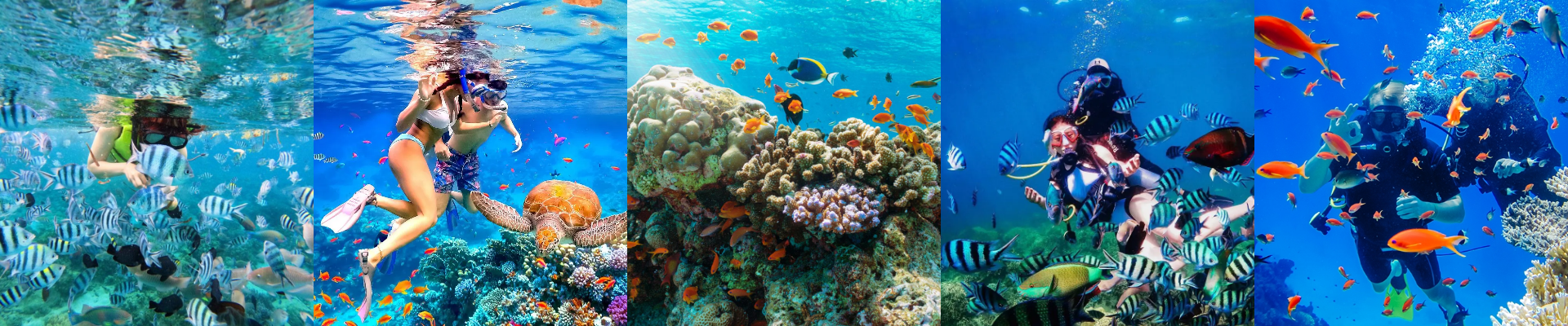 Tất tần tật về lặn Snorkeling và Scuba Diving cho người mới