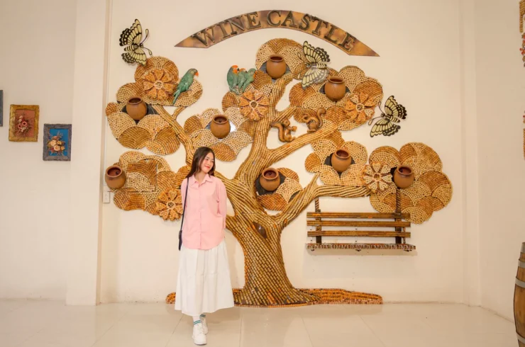 Vé Lâu Đài Rượu Vang Phan Thiết