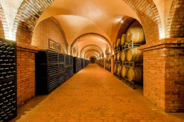 Vé Lâu Đài Rượu Vang Phan Thiết