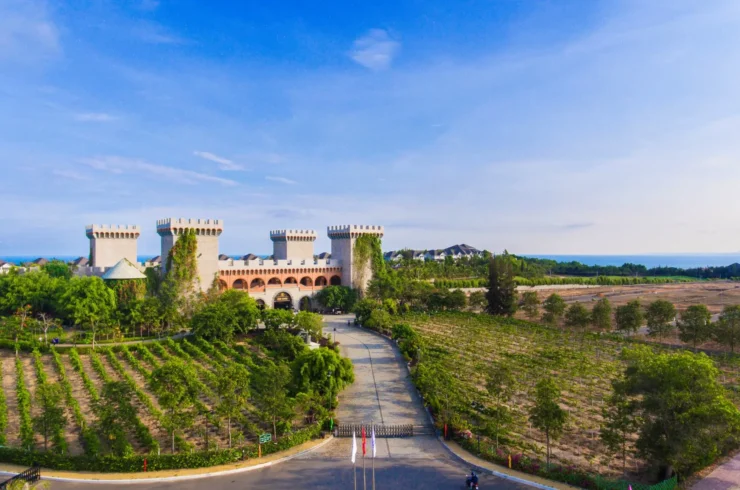 Vé Lâu Đài Rượu Vang Phan Thiết