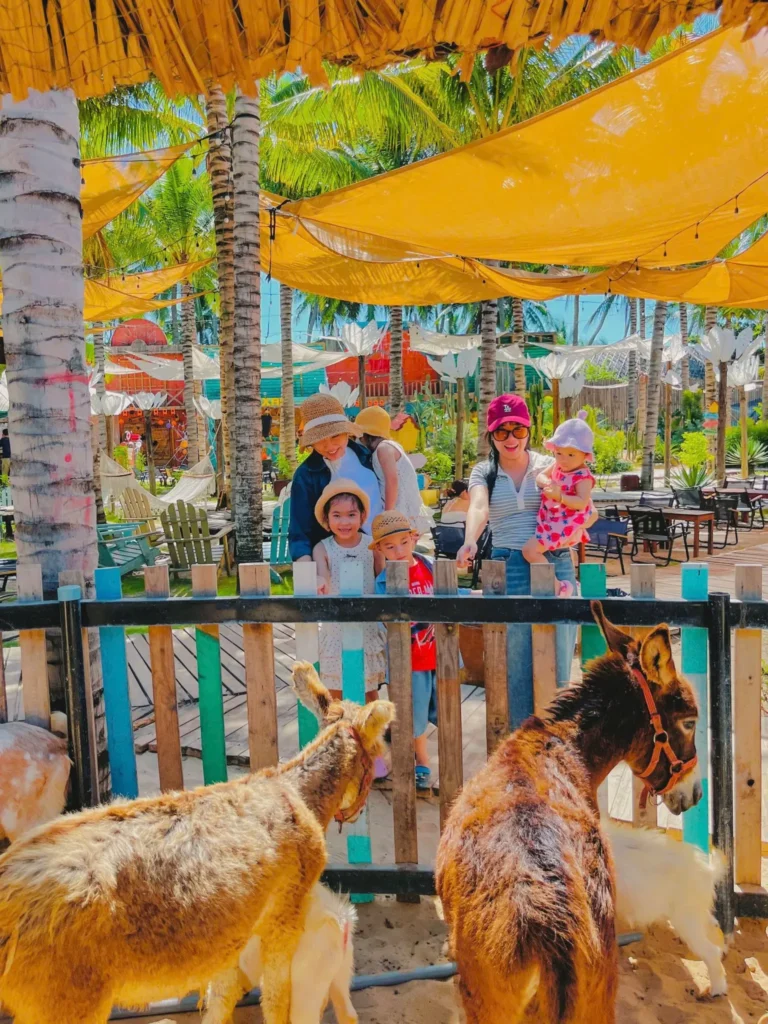 Vé Mango Beach Phan Thiết Vé Mango Beach Phan Thiết