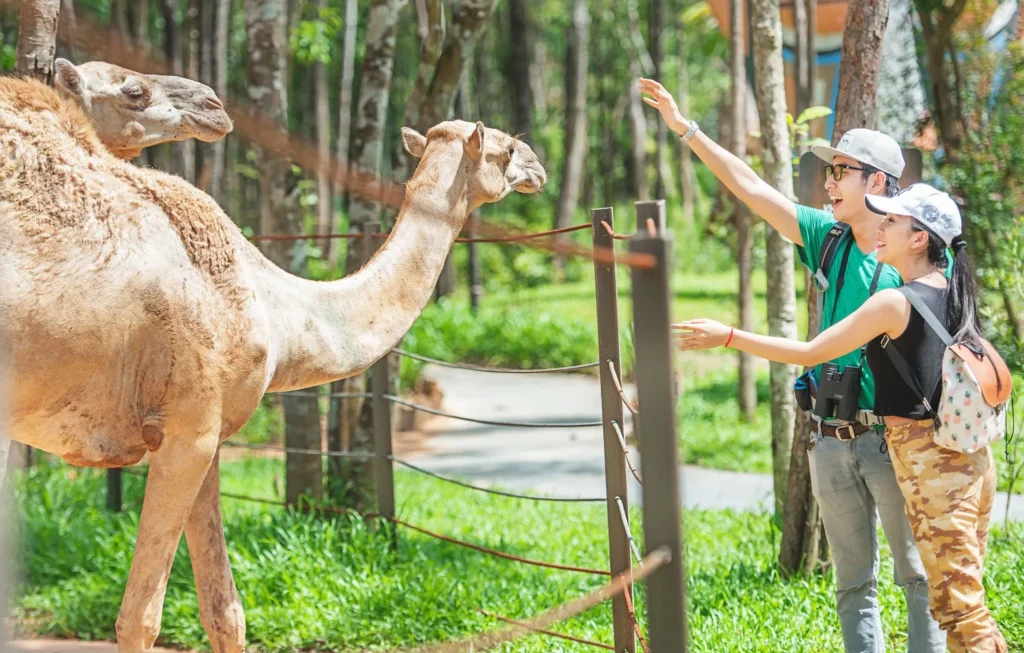 Vé Vinpearl Safari Phú Quốc
