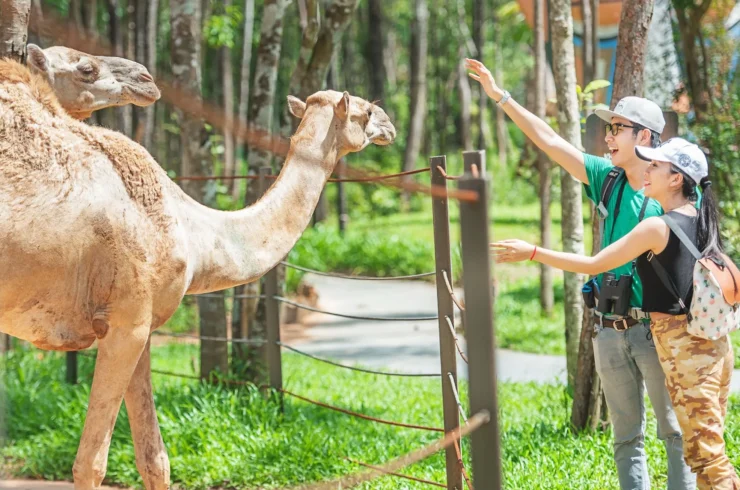 Vé Vinpearl Safari Phú Quốc