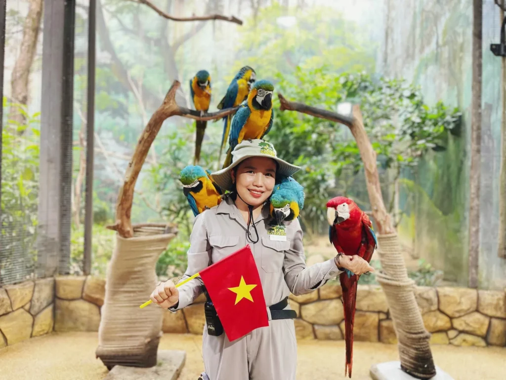 Vé Vinpearl Safari Phú Quốc