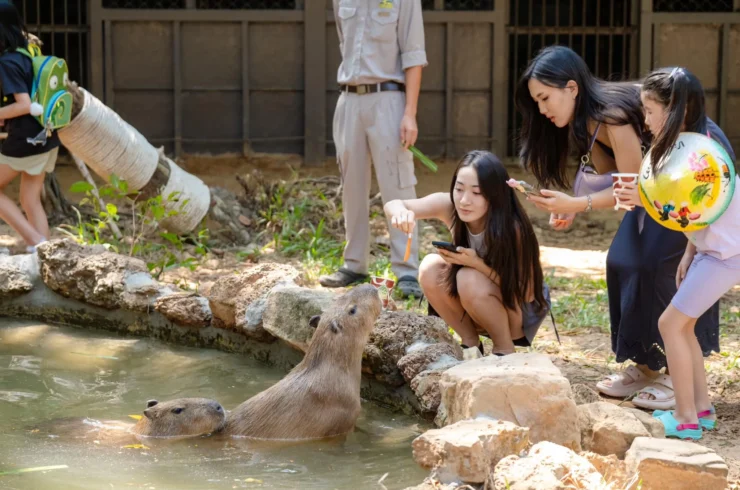 Vé Vinpearl Safari Phú Quốc