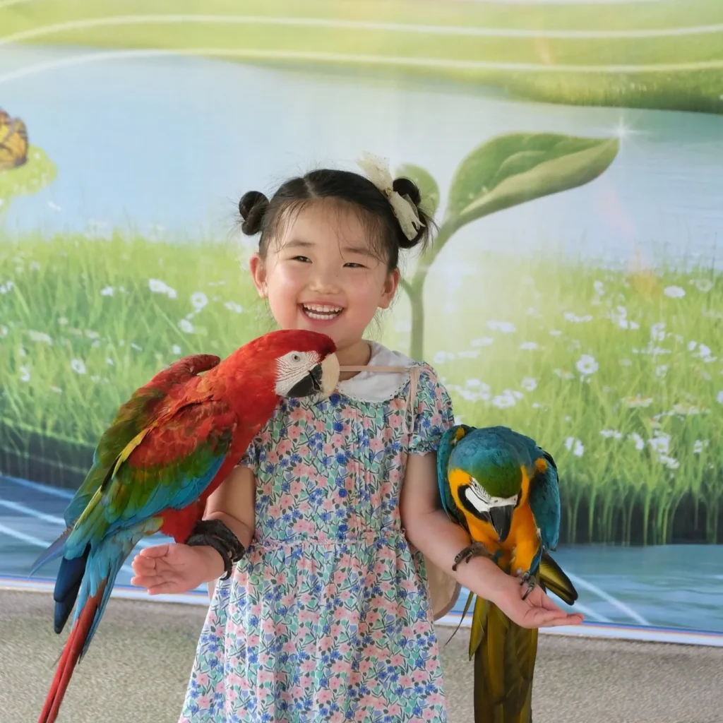 Vé Vinpearl Safari Phú Quốc