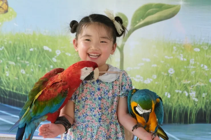 Vé Vinpearl Safari Phú Quốc