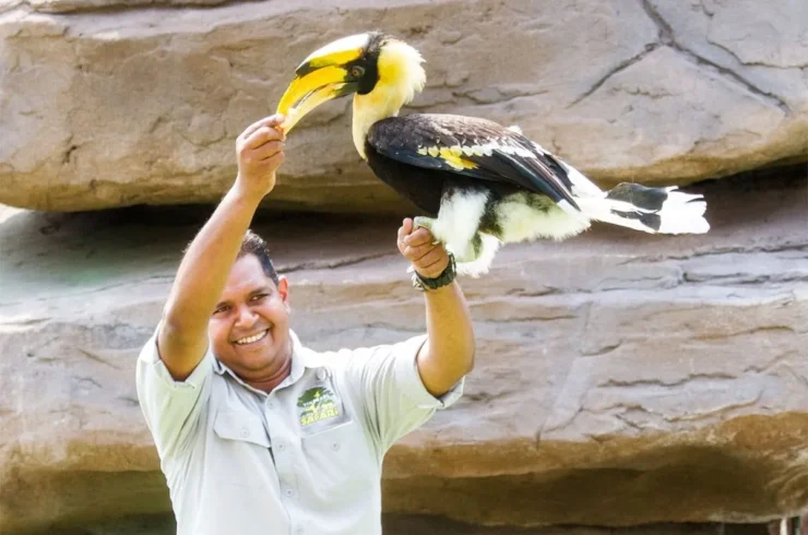 Vé Vinpearl Safari Phú Quốc