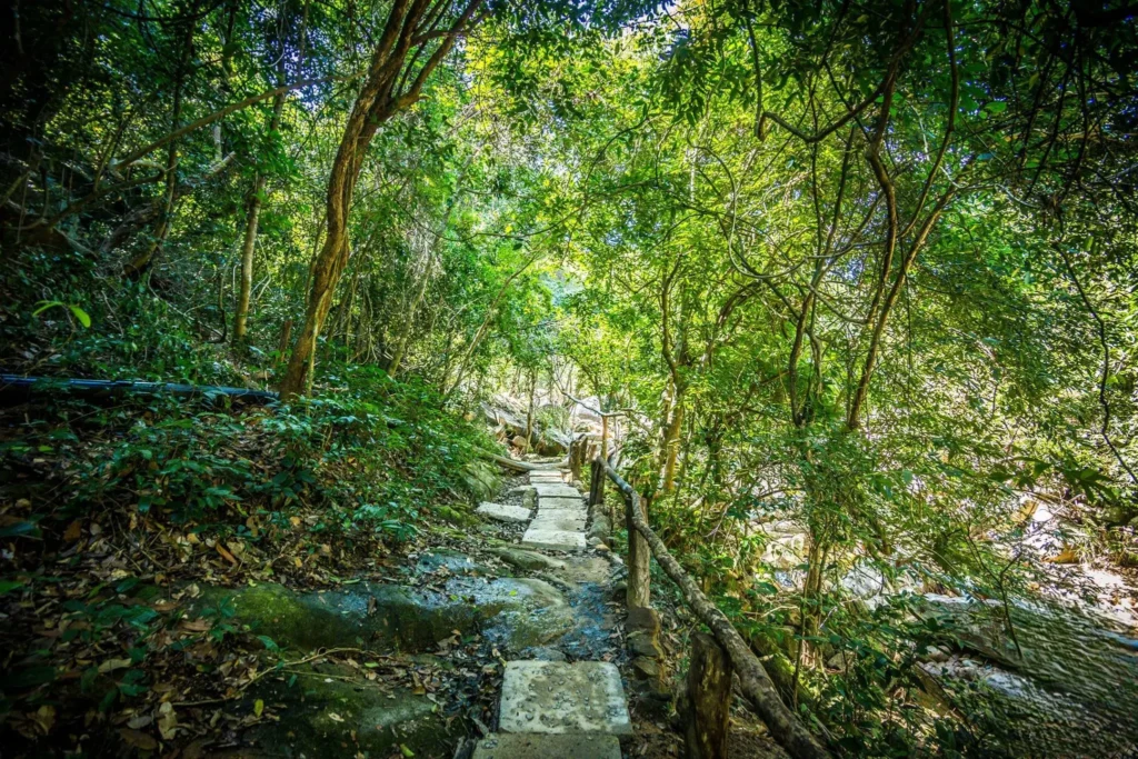 Tour suối Ba Hồ 1 ngày