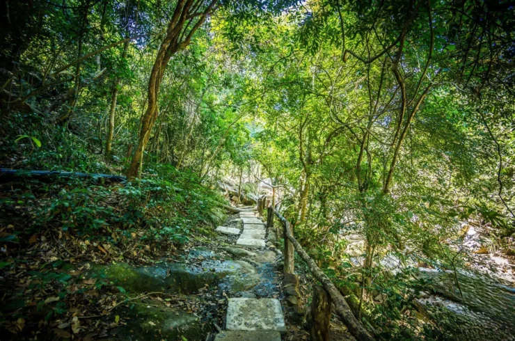 Tour suối Ba Hồ 1 ngày