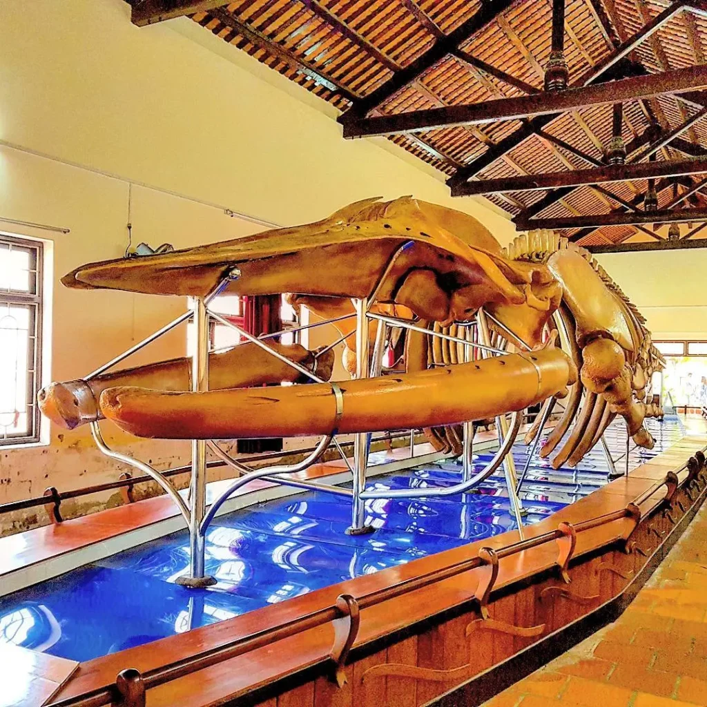 Tour Núi Tà Cú và Hải Đăng Kê Gà 1 Ngày