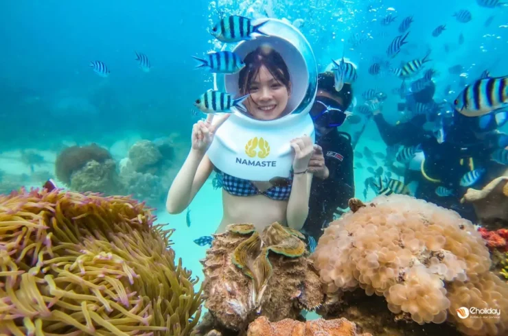 Tour đi bộ dưới biển tại du thuyền Nautilus Namaste