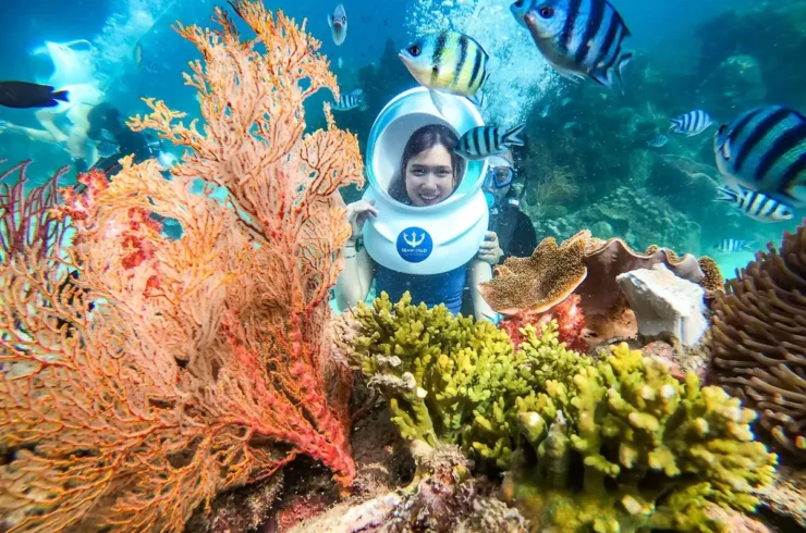 Tour đi bộ dưới biển tại du thuyền Nautilus Namaste