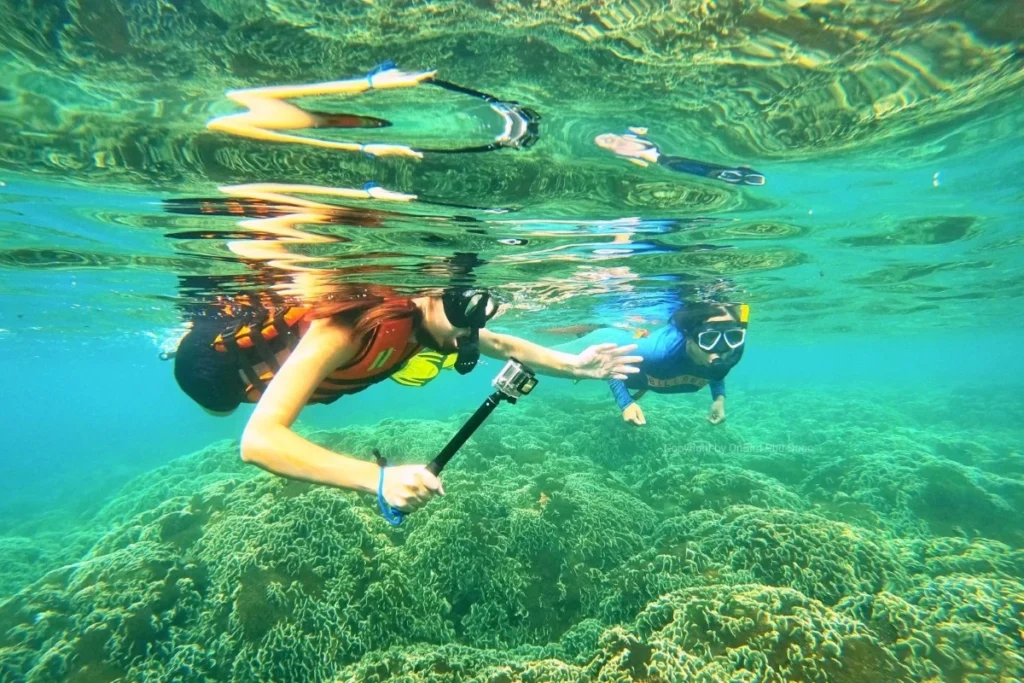Tour lặn biển và câu cá trong ngày tại Phú Quốc