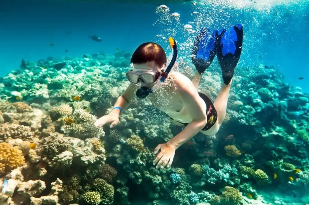 Tour lặn biển và câu cá trong ngày tại Phú Quốc