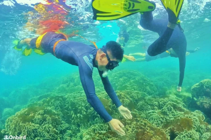 Tour lặn biển và câu cá trong ngày tại Phú Quốc