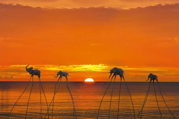 Tour Đông Nam đảo Phú Quốc