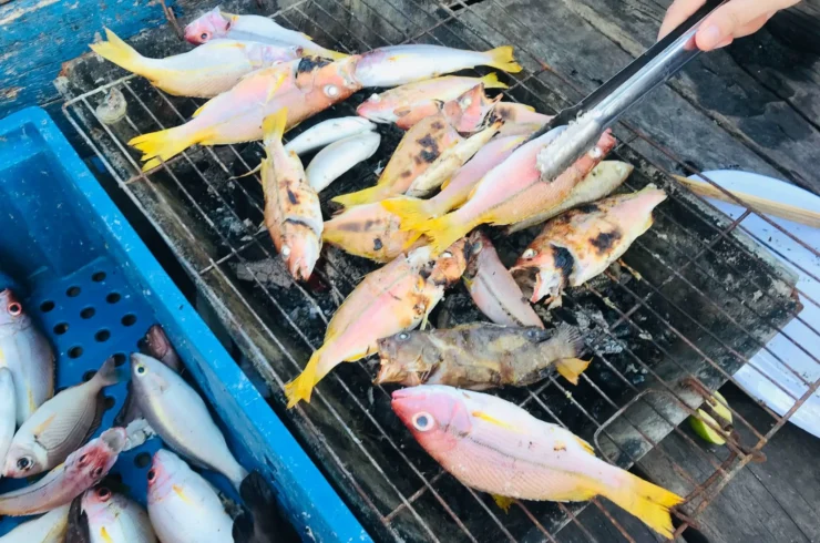 Tour lặn biển và câu cá trong ngày tại Phú Quốc