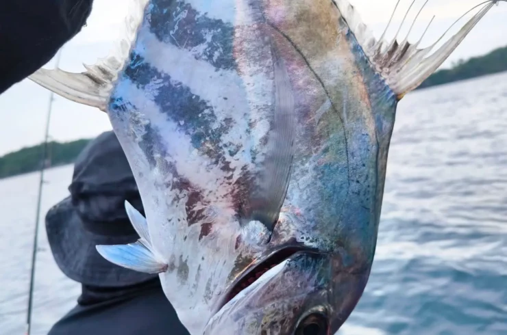 Tour lặn biển và câu cá trong ngày tại Phú Quốc