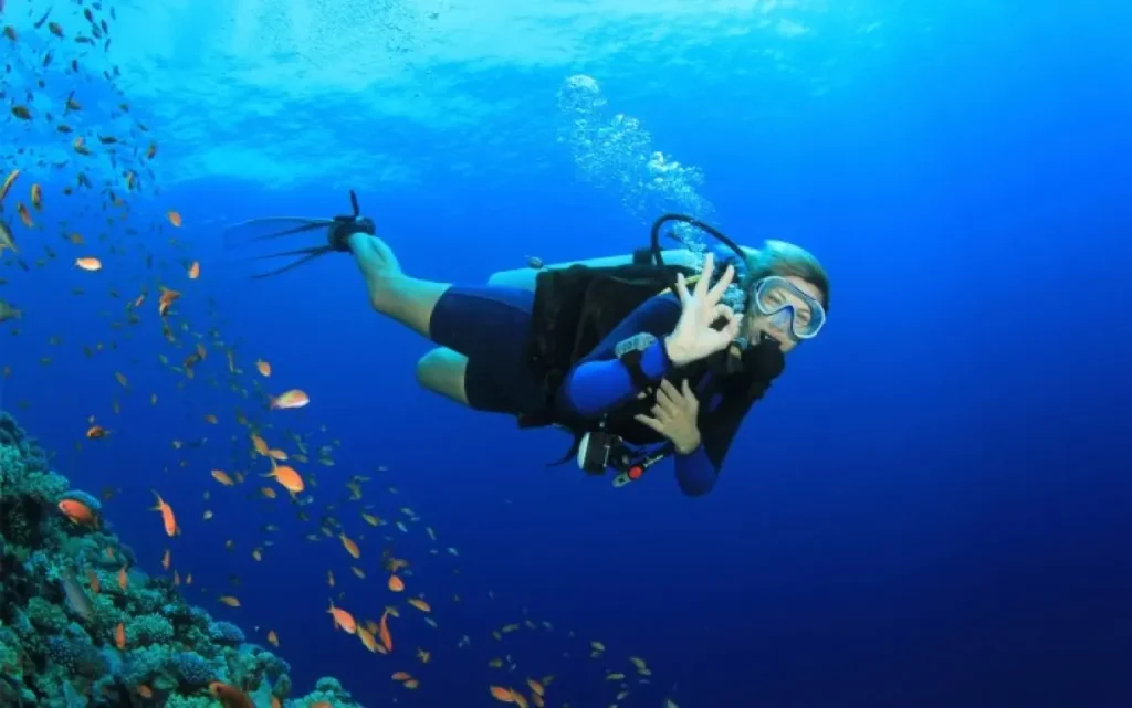Tour trải nghiệm lặn biển Nam Phú Quốc
